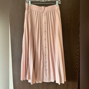 Daniel Rainn Blush Button-Down A-Line Skirt
